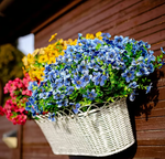 Artificial Flowering Plants With Lasting Color