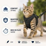 Arnés para gato sin tirones para paseos seguros