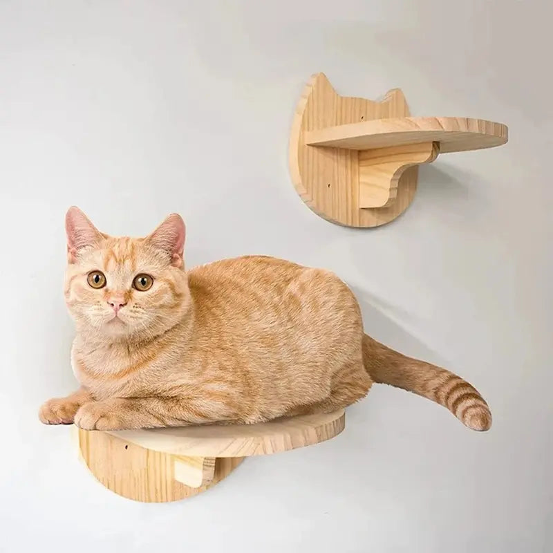 Wall-Mounted Cat Tree for Space-Saving Play