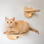 Wall-Mounted Cat Tree for Space-Saving Play