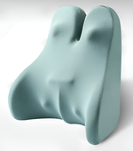 Memory Foam Cushion with Back Support