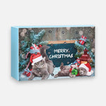 Toy Advent Calendar For Magical Christmas Joy